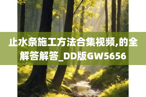 止水条施工方法合集视频,的全解答解答_DD版GW5656