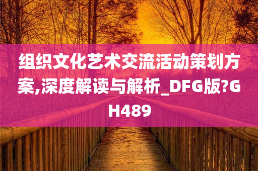 组织文化艺术交流活动策划方案,深度解读与解析_DFG版?GH489