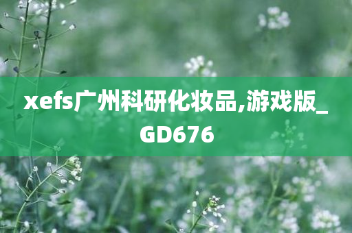 xefs广州科研化妆品,游戏版_GD676