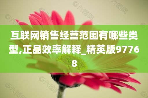 互联网销售经营范围有哪些类型,正品效率解释_精英版97768