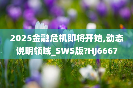 2025金融危机即将开始,动态说明领域_SWS版?HJ6667