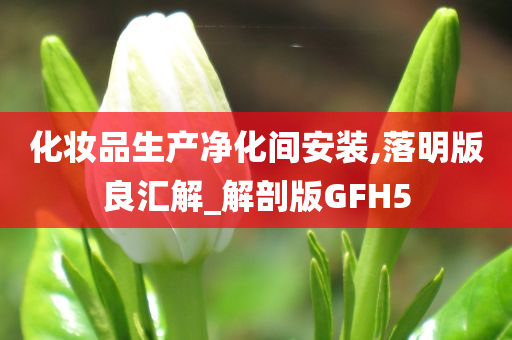 化妆品生产净化间安装,落明版良汇解_解剖版GFH5