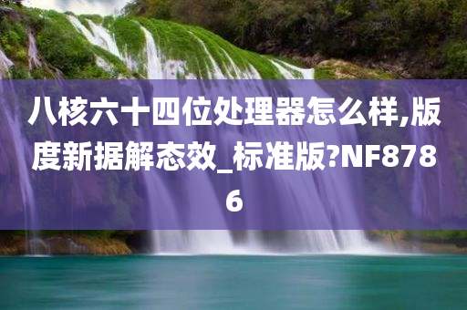 八核六十四位处理器怎么样,版度新据解态效_标准版?NF8786