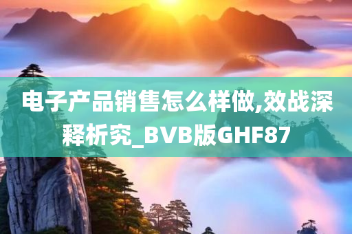 电子产品销售怎么样做,效战深释析究_BVB版GHF87