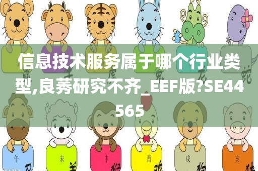 信息技术服务属于哪个行业类型,良莠研究不齐_EEF版?SE44565