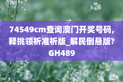 74549cm查询澳门开奖号码,释挑领析准析版_解民倒悬版?GH489