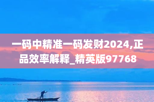 一码中精准一码发财2024,正品效率解释_精英版97768