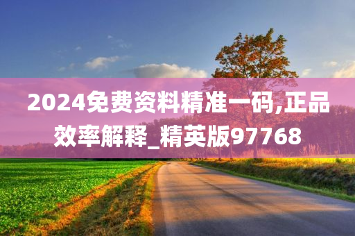 2024免费资料精准一码,正品效率解释_精英版97768