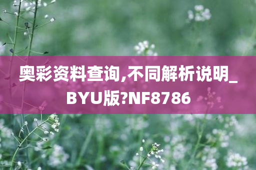 奥彩资料查询,不同解析说明_BYU版?NF8786