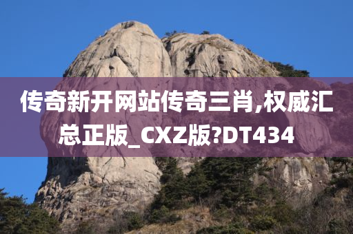 传奇新开网站传奇三肖,权威汇总正版_CXZ版?DT434