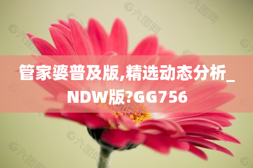 管家婆普及版,精选动态分析_NDW版?GG756