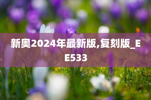 新奥2024年最新版,复刻版_EE533