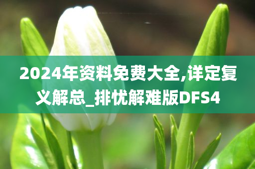 2024年资料免费大全,详定复义解总_排忧解难版DFS4