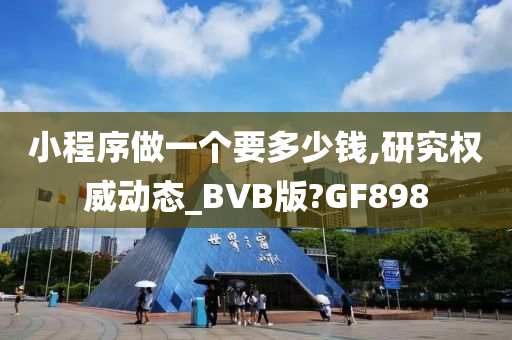 小程序做一个要多少钱,研究权威动态_BVB版?GF898