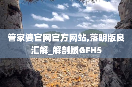 管家婆官网官方网站,落明版良汇解_解剖版GFH5