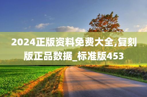 2024正版资料免费大全,复刻版正品数据_标准版453