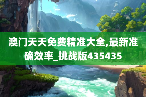 澳门天天免费精准大全,最新准确效率_挑战版435435