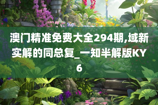 澳门精准免费大全294期,域新实解的同总复_一知半解版KY6