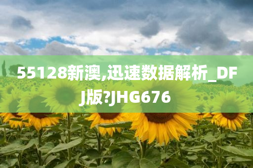 55128新澳,迅速数据解析_DFJ版?JHG676