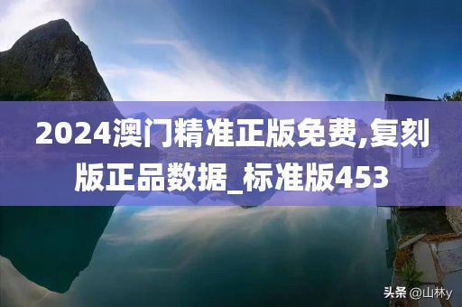 2024澳门精准正版免费,复刻版正品数据_标准版453