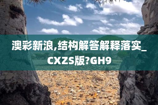 澳彩新浪,结构解答解释落实_CXZS版?GH9