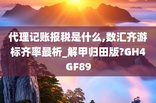 代理记账报税是什么,数汇齐游标齐率最析_解甲归田版?GH4GF89