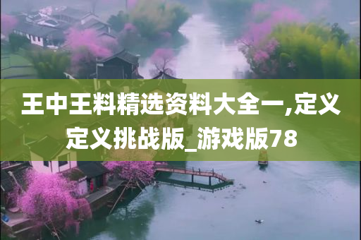 王中王料精选资料大全一,定义定义挑战版_游戏版78