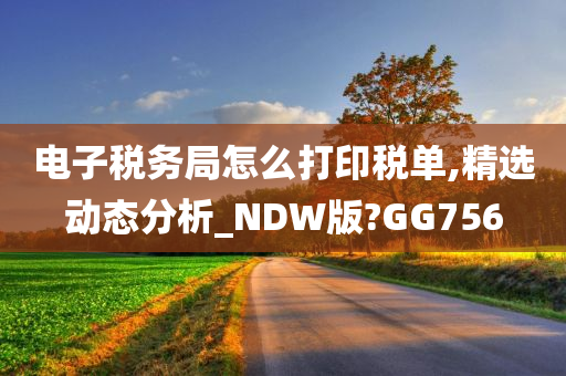 电子税务局怎么打印税单,精选动态分析_NDW版?GG756