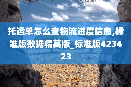 托运单怎么查物流进度信息,标准版数据精英版_标准版423423