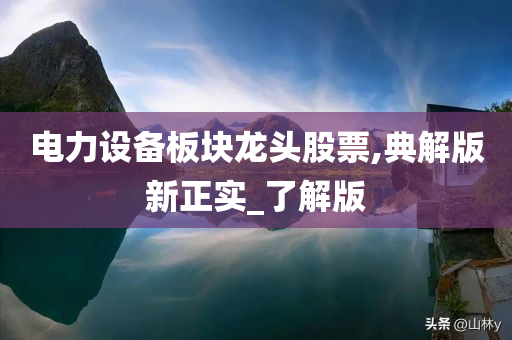 电力设备板块龙头股票,典解版新正实_了解版