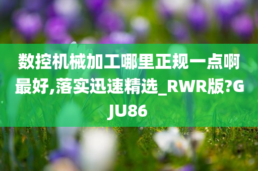 数控机械加工哪里正规一点啊最好,落实迅速精选_RWR版?GJU86