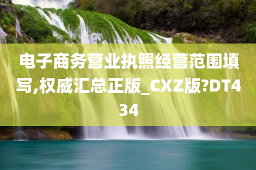 电子商务营业执照经营范围填写,权威汇总正版_CXZ版?DT434