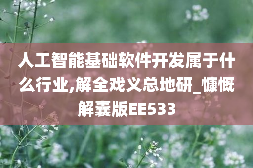 人工智能基础软件开发属于什么行业,解全戏义总地研_慷慨解囊版EE533