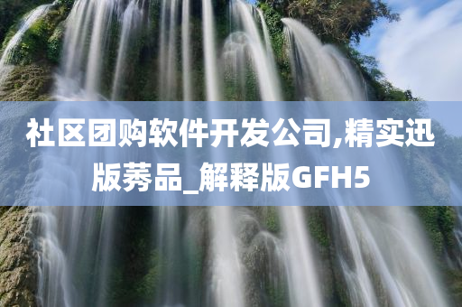 社区团购软件开发公司,精实迅版莠品_解释版GFH5