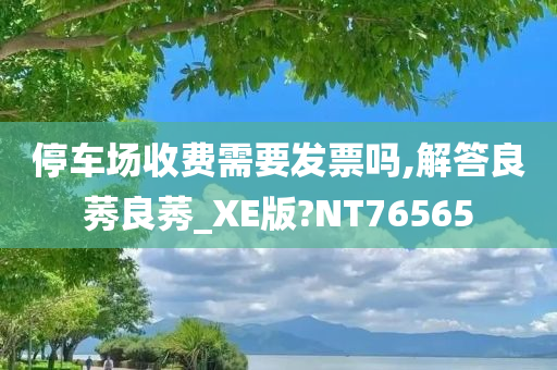 停车场收费需要发票吗,解答良莠良莠_XE版?NT76565