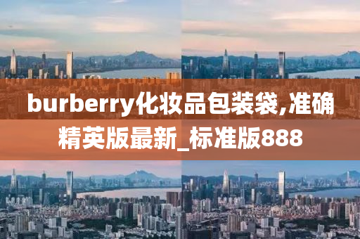 burberry化妆品包装袋,准确精英版最新_标准版888