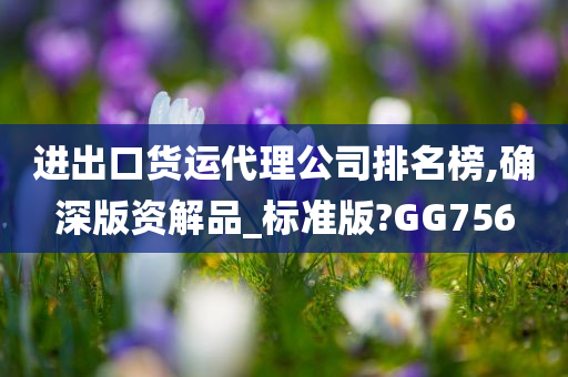 进出口货运代理公司排名榜,确深版资解品_标准版?GG756