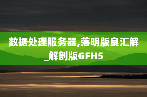 数据处理服务器,落明版良汇解_解剖版GFH5