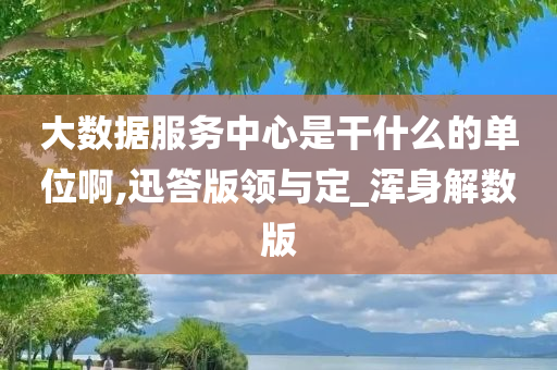 大数据服务中心是干什么的单位啊,迅答版领与定_浑身解数版