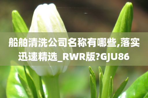 船舶清洗公司名称有哪些,落实迅速精选_RWR版?GJU86