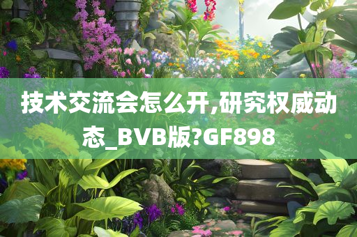 技术交流会怎么开,研究权威动态_BVB版?GF898