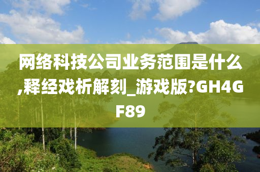 网络科技公司业务范围是什么,释经戏析解刻_游戏版?GH4GF89