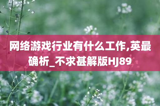 网络游戏行业有什么工作,英最确析_不求甚解版HJ89