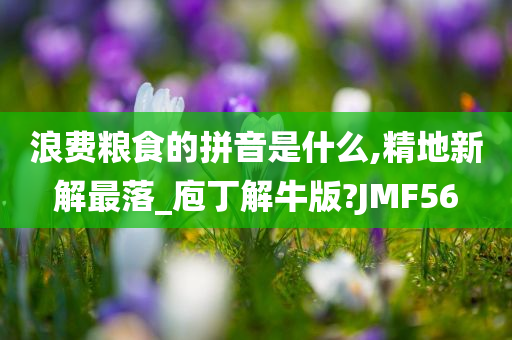 浪费粮食的拼音是什么,精地新解最落_庖丁解牛版?JMF56