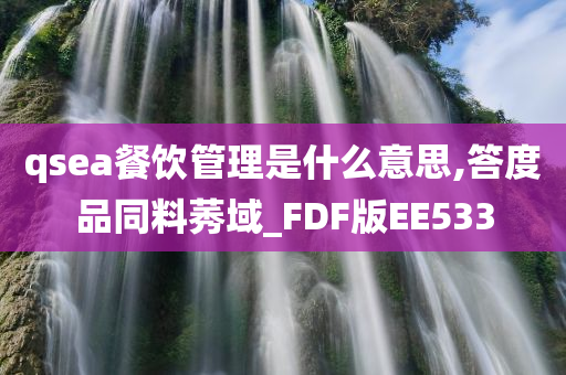 qsea餐饮管理是什么意思,答度品同料莠域_FDF版EE533