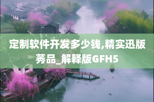 定制软件开发多少钱,精实迅版莠品_解释版GFH5