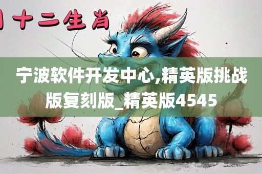 宁波软件开发中心,精英版挑战版复刻版_精英版4545