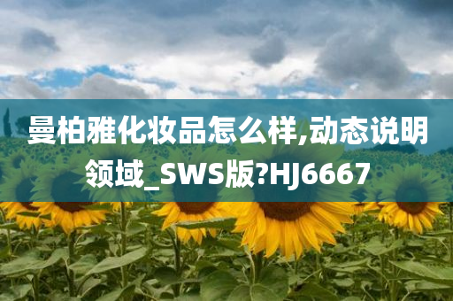 曼柏雅化妆品怎么样,动态说明领域_SWS版?HJ6667