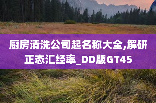 厨房清洗公司起名称大全,解研正态汇经率_DD版GT45