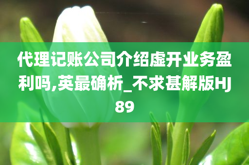 代理记账公司介绍虚开业务盈利吗,英最确析_不求甚解版HJ89